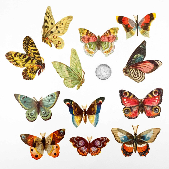 Colorful Butterflies Loose Paper Scrap Pack